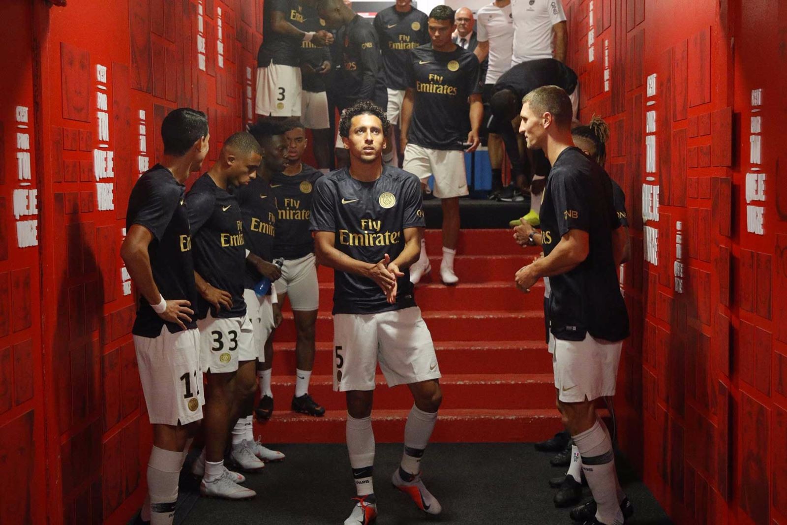 猫粮包装设计_东莞产品包装盒设计